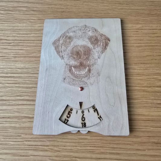 Parkkikiekko omalla kuvalla ja tekstillä